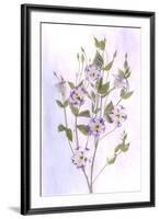 USA, Maryland, Bethesda, Purple and White, Digitally Altered-Hollice Looney-Framed Premium Photographic Print