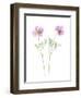 Usa, Maryland, Bethesda. Two poppies-Hollice Looney-Framed Photographic Print