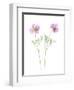 Usa, Maryland, Bethesda. Two poppies-Hollice Looney-Framed Photographic Print