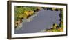 Usa, Massachusetts, Acton. Pond with fall foliage (aerial view).-Merrill Images-Framed Photographic Print