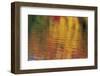 Usa, Massachusetts, Acton. Reflection of autumn foliage in pond with ripples.-Merrill Images-Framed Photographic Print