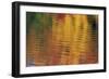 Usa, Massachusetts, Acton. Reflection of autumn foliage in pond with ripples.-Merrill Images-Framed Photographic Print