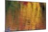 Usa, Massachusetts, Acton. Reflection of autumn foliage in pond with ripples.-Merrill Images-Mounted Photographic Print