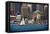 USA, Massachusetts. Boston waterfront skyline with sailboats.-Anna Miller-Framed Stretched Canvas