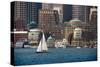 USA, Massachusetts. Boston waterfront skyline with sailboats.-Anna Miller-Stretched Canvas