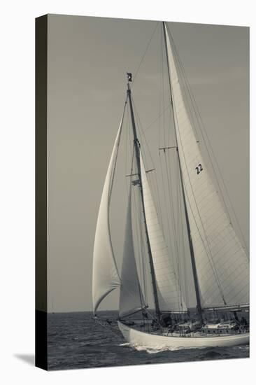 USA, Massachusetts, Cape Ann, Gloucester, America's Oldest Seaport, Annual Schooner Festival-Walter Bibikow-Stretched Canvas