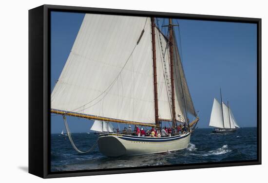 USA, Massachusetts, Cape Ann, Gloucester, America's Oldest Seaport, Annual Schooner Festival-Walter Bibikow-Framed Stretched Canvas