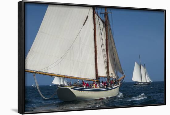 USA, Massachusetts, Cape Ann, Gloucester, America's Oldest Seaport, Annual Schooner Festival-Walter Bibikow-Framed Photographic Print