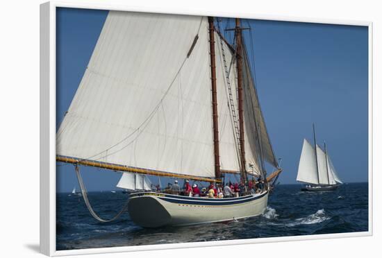 USA, Massachusetts, Cape Ann, Gloucester, America's Oldest Seaport, Annual Schooner Festival-Walter Bibikow-Framed Photographic Print