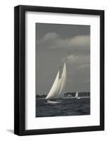 USA, Massachusetts, Cape Ann, Gloucester, America's Oldest Seaport, Annual Schooner Festival-Walter Bibikow-Framed Photographic Print