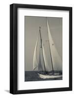 USA, Massachusetts, Cape Ann, Gloucester, America's Oldest Seaport, Annual Schooner Festival-Walter Bibikow-Framed Photographic Print