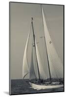 USA, Massachusetts, Cape Ann, Gloucester, America's Oldest Seaport, Annual Schooner Festival-Walter Bibikow-Mounted Photographic Print