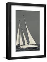 USA, Massachusetts, Cape Ann, Gloucester, America's Oldest Seaport, Annual Schooner Festival-Walter Bibikow-Framed Photographic Print