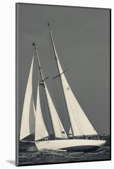 USA, Massachusetts, Cape Ann, Gloucester, America's Oldest Seaport, Annual Schooner Festival-Walter Bibikow-Mounted Photographic Print