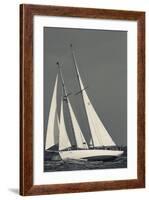 USA, Massachusetts, Cape Ann, Gloucester, America's Oldest Seaport, Annual Schooner Festival-Walter Bibikow-Framed Photographic Print