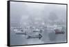 USA, Massachusetts, Cape Ann, Gloucester. Annisquam Harbor, boats in fog-Walter Bibikow-Framed Stretched Canvas