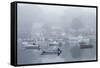 USA, Massachusetts, Cape Ann, Gloucester. Annisquam Harbor, boats in fog-Walter Bibikow-Framed Stretched Canvas