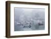 USA, Massachusetts, Cape Ann, Gloucester. Annisquam Harbor, boats in fog-Walter Bibikow-Framed Photographic Print