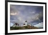 USA, Massachusetts, Cape Ann, Gloucester, Eastern Point Lighthouse with rainbow-Walter Bibikow-Framed Premium Photographic Print