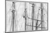 USA, Massachusetts, Cape Ann, Gloucester. Gloucester Schooner Festival, schooner masts.-Walter Bibikow-Mounted Photographic Print