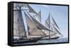 USA, Massachusetts, Cape Ann, Gloucester. Gloucester Schooner Festival, schooner parade of sail.-Walter Bibikow-Framed Stretched Canvas