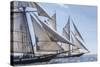 USA, Massachusetts, Cape Ann, Gloucester. Gloucester Schooner Festival, schooner parade of sail.-Walter Bibikow-Stretched Canvas