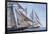 USA, Massachusetts, Cape Ann, Gloucester. Gloucester Schooner Festival, schooner parade of sail.-Walter Bibikow-Framed Photographic Print