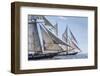 USA, Massachusetts, Cape Ann, Gloucester. Gloucester Schooner Festival, schooner parade of sail.-Walter Bibikow-Framed Photographic Print