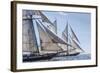 USA, Massachusetts, Cape Ann, Gloucester. Gloucester Schooner Festival, schooner parade of sail.-Walter Bibikow-Framed Photographic Print