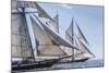 USA, Massachusetts, Cape Ann, Gloucester. Gloucester Schooner Festival, schooner parade of sail.-Walter Bibikow-Mounted Photographic Print