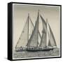 USA, Massachusetts, Cape Ann, Gloucester. Gloucester Schooner Festival, schooner parade of sail.-Walter Bibikow-Framed Stretched Canvas