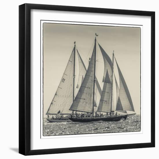 USA, Massachusetts, Cape Ann, Gloucester. Gloucester Schooner Festival, schooner parade of sail.-Walter Bibikow-Framed Photographic Print
