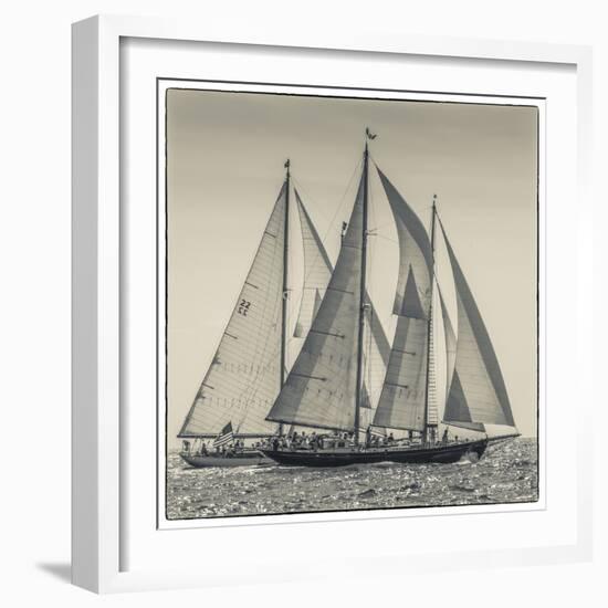 USA, Massachusetts, Cape Ann, Gloucester. Gloucester Schooner Festival, schooner parade of sail.-Walter Bibikow-Framed Photographic Print