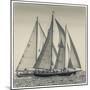 USA, Massachusetts, Cape Ann, Gloucester. Gloucester Schooner Festival, schooner parade of sail.-Walter Bibikow-Mounted Photographic Print