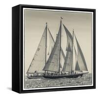 USA, Massachusetts, Cape Ann, Gloucester. Gloucester Schooner Festival, schooner parade of sail.-Walter Bibikow-Framed Stretched Canvas