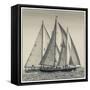 USA, Massachusetts, Cape Ann, Gloucester. Gloucester Schooner Festival, schooner parade of sail.-Walter Bibikow-Framed Stretched Canvas