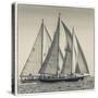 USA, Massachusetts, Cape Ann, Gloucester. Gloucester Schooner Festival, schooner parade of sail.-Walter Bibikow-Stretched Canvas