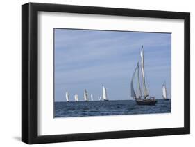 USA, Massachusetts, Cape Ann, Gloucester. Gloucester Schooner Festival, schooner parade of sail.-Walter Bibikow-Framed Photographic Print