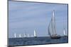 USA, Massachusetts, Cape Ann, Gloucester. Gloucester Schooner Festival, schooner parade of sail.-Walter Bibikow-Mounted Photographic Print