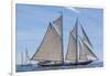 USA, Massachusetts, Cape Ann, Gloucester. Gloucester Schooner Festival, schooner parade of sail.-Walter Bibikow-Framed Photographic Print