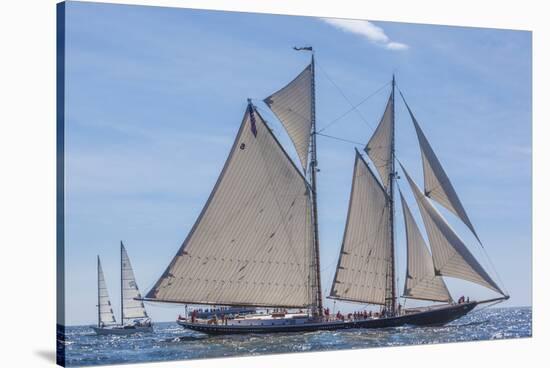 USA, Massachusetts, Cape Ann, Gloucester. Gloucester Schooner Festival, schooner parade of sail.-Walter Bibikow-Stretched Canvas