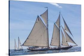USA, Massachusetts, Cape Ann, Gloucester. Gloucester Schooner Festival, schooner parade of sail.-Walter Bibikow-Stretched Canvas