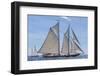 USA, Massachusetts, Cape Ann, Gloucester. Gloucester Schooner Festival, schooner parade of sail.-Walter Bibikow-Framed Photographic Print