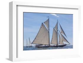 USA, Massachusetts, Cape Ann, Gloucester. Gloucester Schooner Festival, schooner parade of sail.-Walter Bibikow-Framed Photographic Print