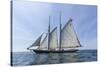 USA, Massachusetts, Cape Ann, Gloucester. Gloucester Schooner Festival, schooner parade of sail.-Walter Bibikow-Stretched Canvas