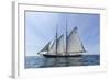 USA, Massachusetts, Cape Ann, Gloucester. Gloucester Schooner Festival, schooner parade of sail.-Walter Bibikow-Framed Photographic Print