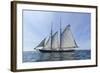 USA, Massachusetts, Cape Ann, Gloucester. Gloucester Schooner Festival, schooner parade of sail.-Walter Bibikow-Framed Photographic Print