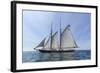 USA, Massachusetts, Cape Ann, Gloucester. Gloucester Schooner Festival, schooner parade of sail.-Walter Bibikow-Framed Photographic Print