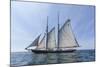 USA, Massachusetts, Cape Ann, Gloucester. Gloucester Schooner Festival, schooner parade of sail.-Walter Bibikow-Mounted Photographic Print