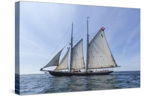 USA, Massachusetts, Cape Ann, Gloucester. Gloucester Schooner Festival, schooner parade of sail.-Walter Bibikow-Stretched Canvas